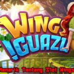 Informasi Menarik Tentang Slot Wings of Iguazu